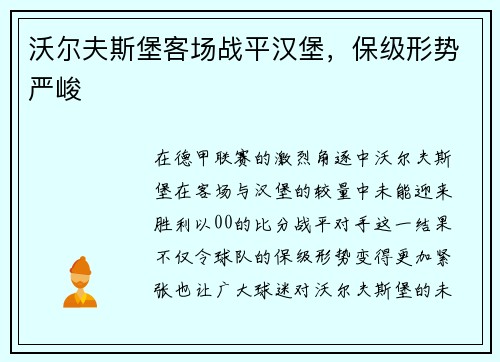 沃尔夫斯堡客场战平汉堡，保级形势严峻